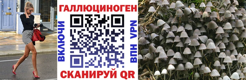 мега ССЫЛКА Елизово Галлюциногенные грибы Magic Shrooms