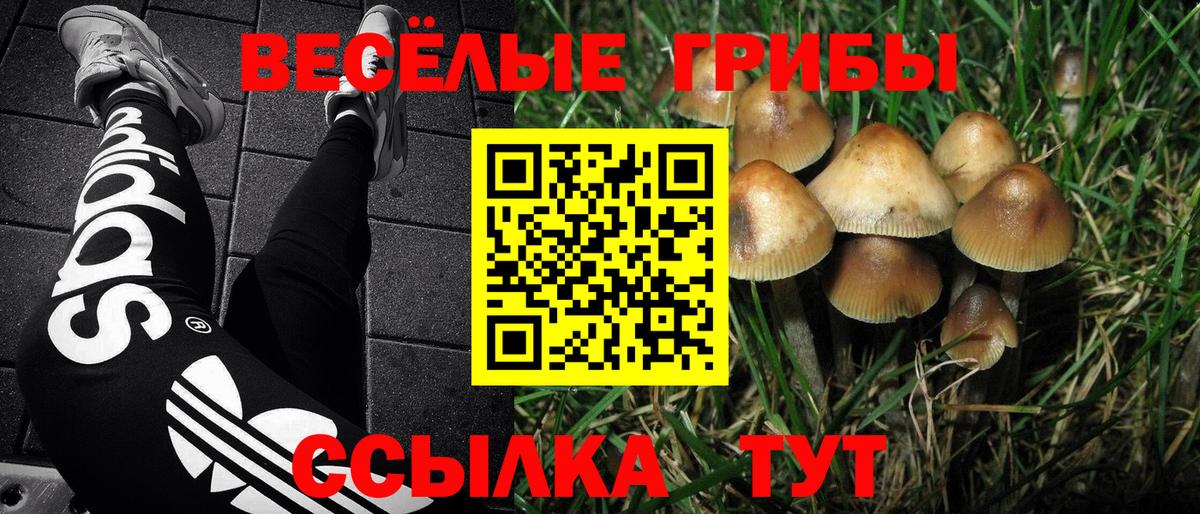Елизово  Галлюциногенные грибы ЛСД  Вход с VPN  Псилоцибиновые грибы Magic Shrooms 