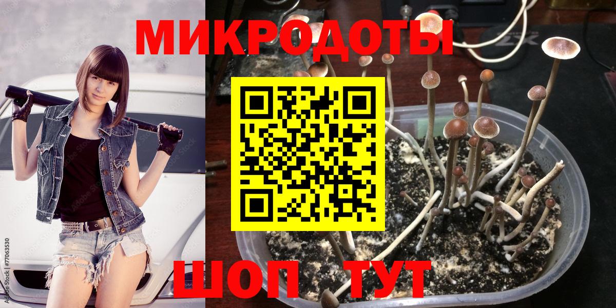 Псилоцибиновые грибы Psilocybine cubensis Елизово