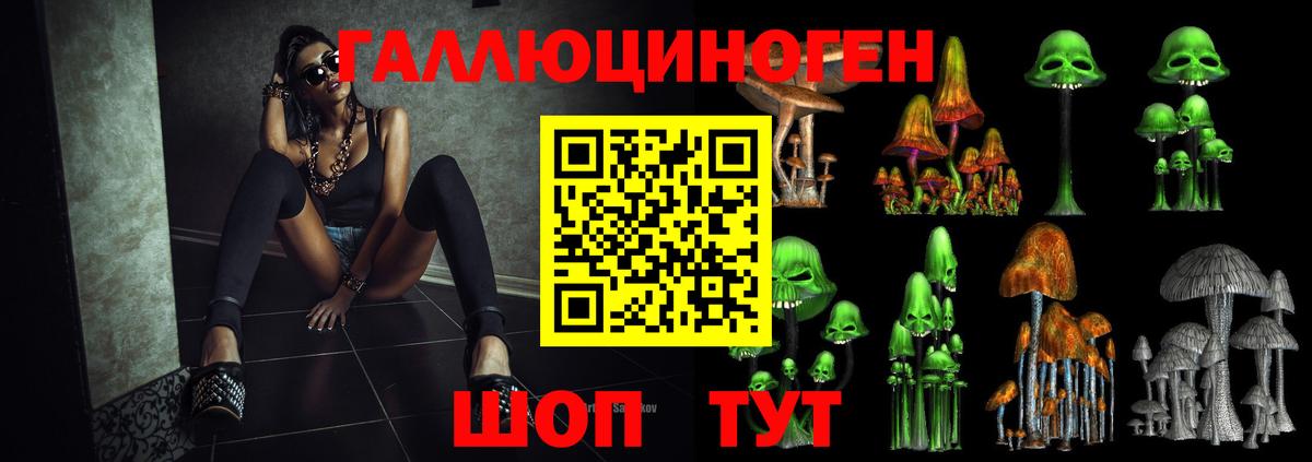 Галлюциногенные грибы GOLDEN TEACHER  Елизово 